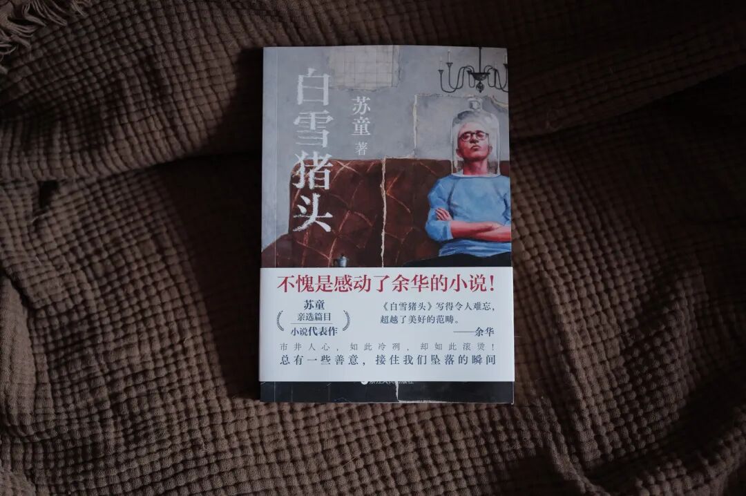 白雪猪头