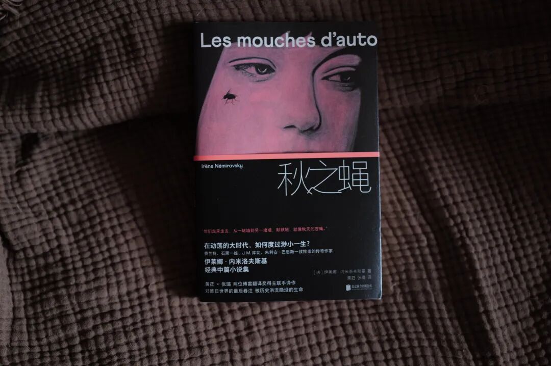 秋之蝇